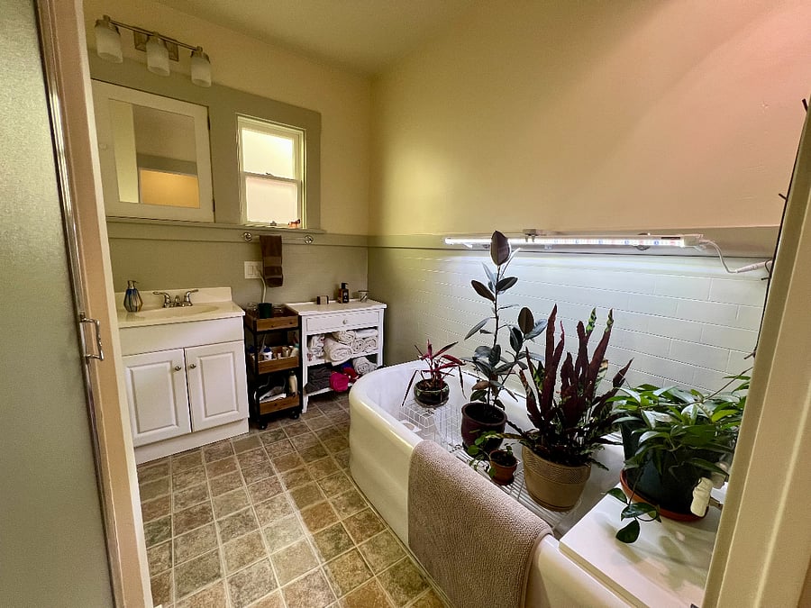 Bathroom has lots of storage space for toiletries, towels, and even a few houseplants!