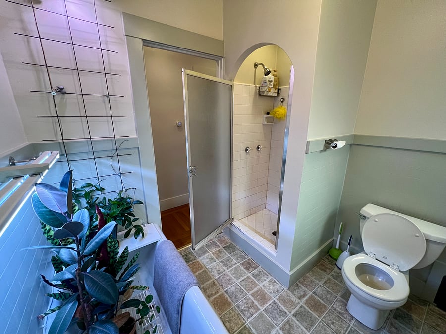Bathroom features a shower and (non-functional) bathtub currently moonlighting as a planter.
