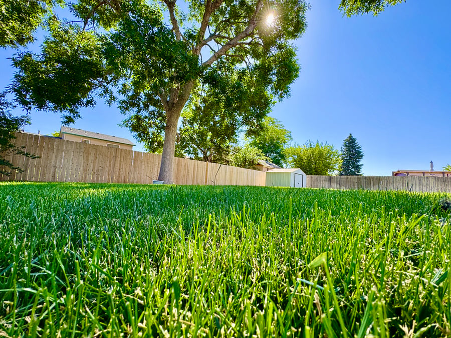 Furnished Finder property 880665_1 photo 42