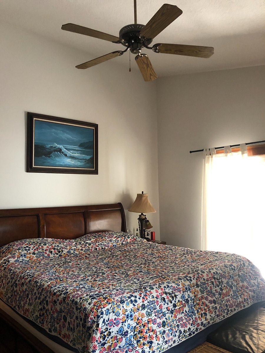 Furnished Finder property 880675_1 photo 6