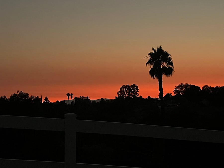 Furnished Finder property 880690_1 photo 19