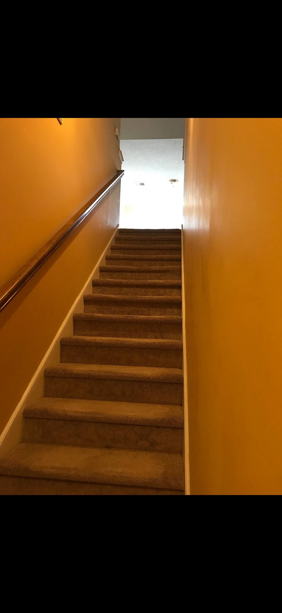 Furnished Finder property 880788_1 photo 9