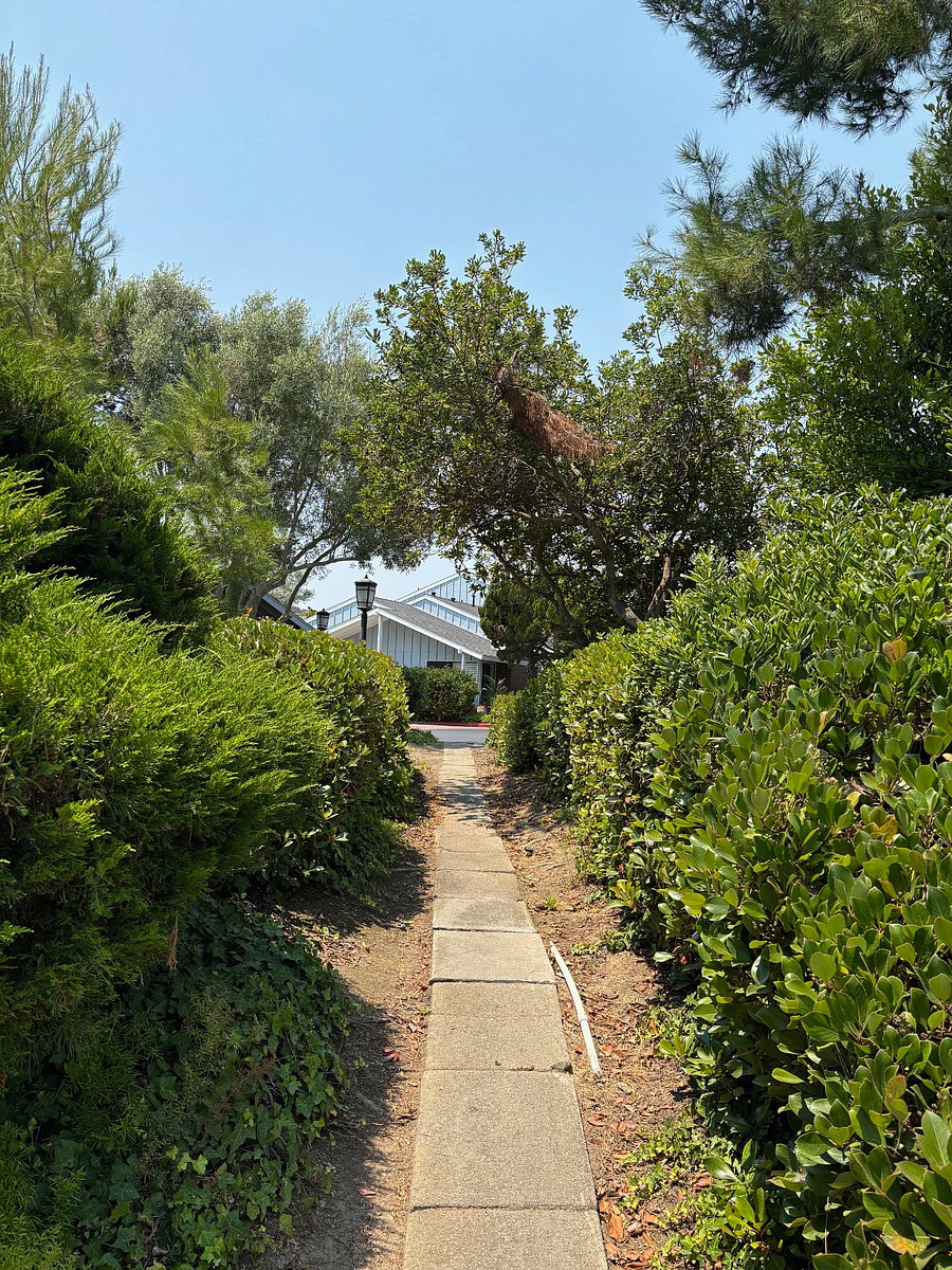 The neighborhood 1