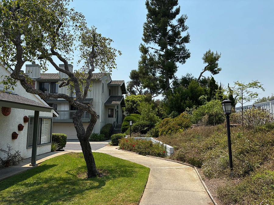 The neighborhood 3