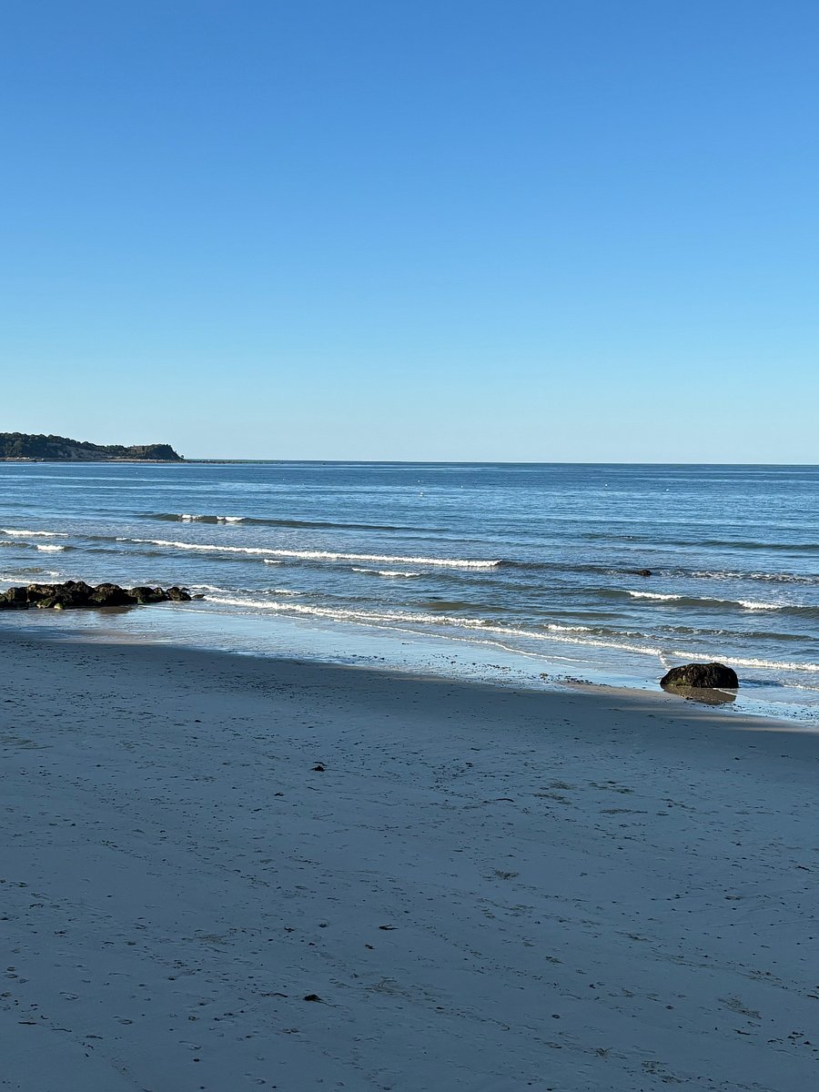 Beach looking north
