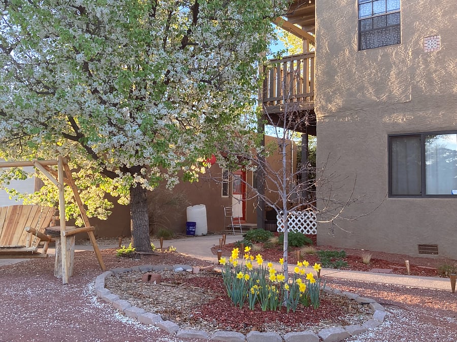 Furnished Finder property 881033_3 photo 7