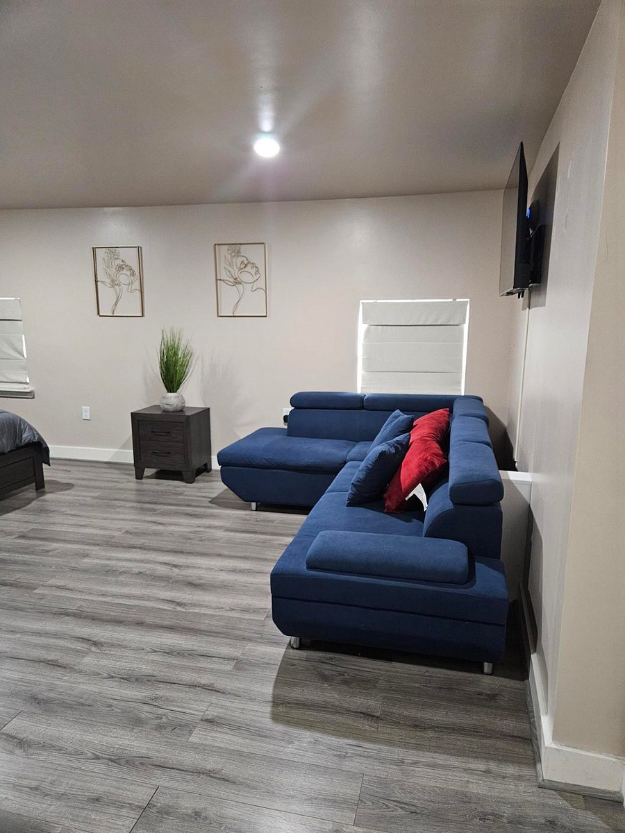 Living room Couch( Sofa Bed capability)
