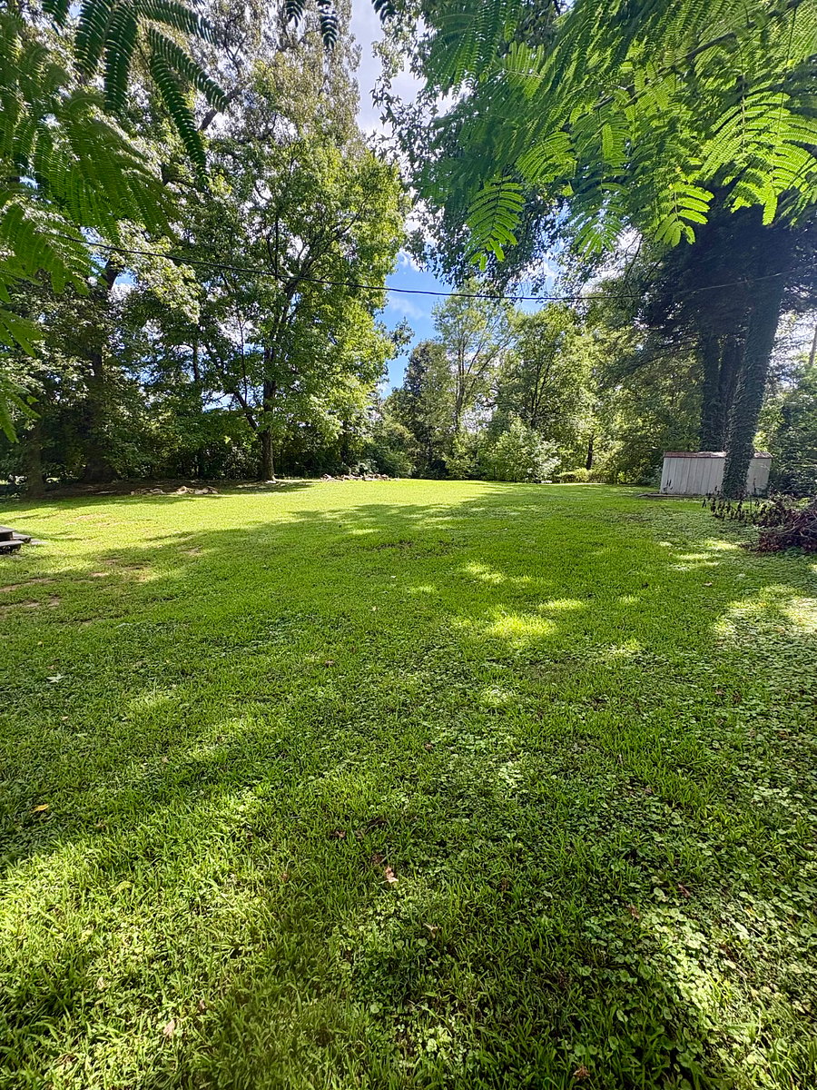 Very large back yard - almost an acre. Very private, partially fenced