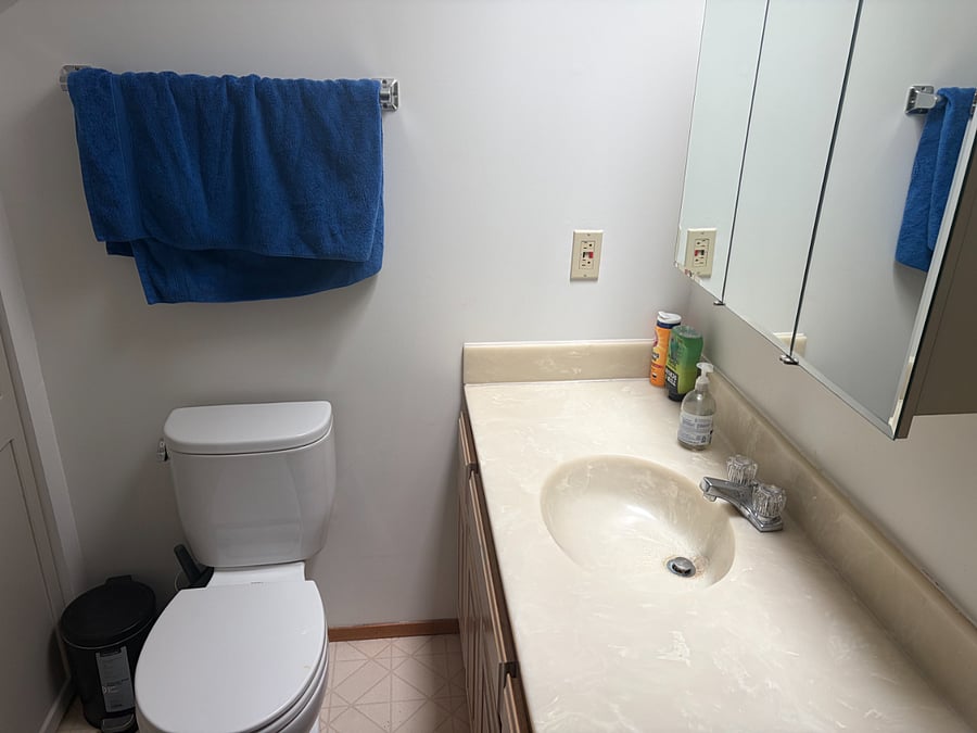 Nice bathroom with ample closet space and skylight