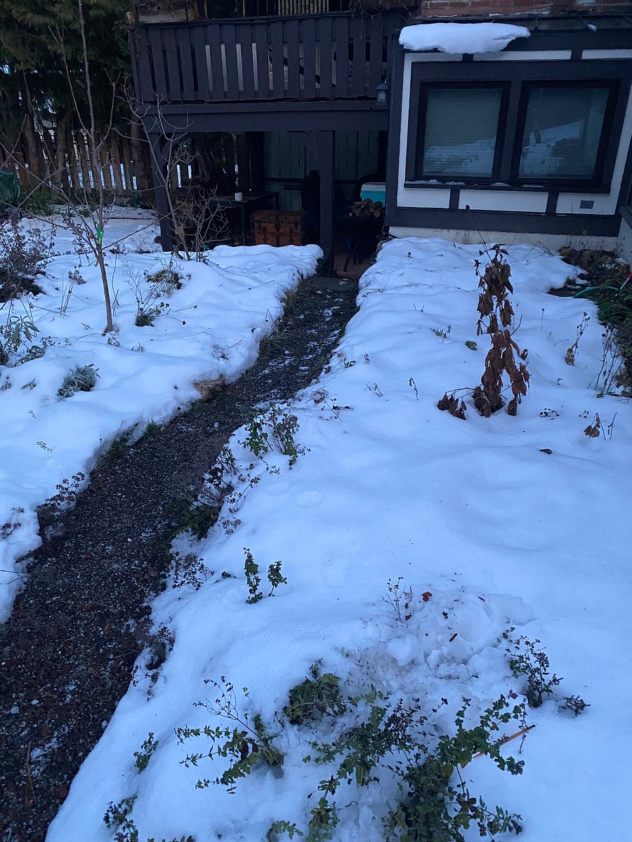 shoveled & salted daily