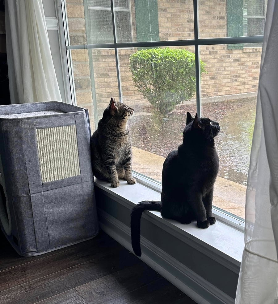 London & Paris