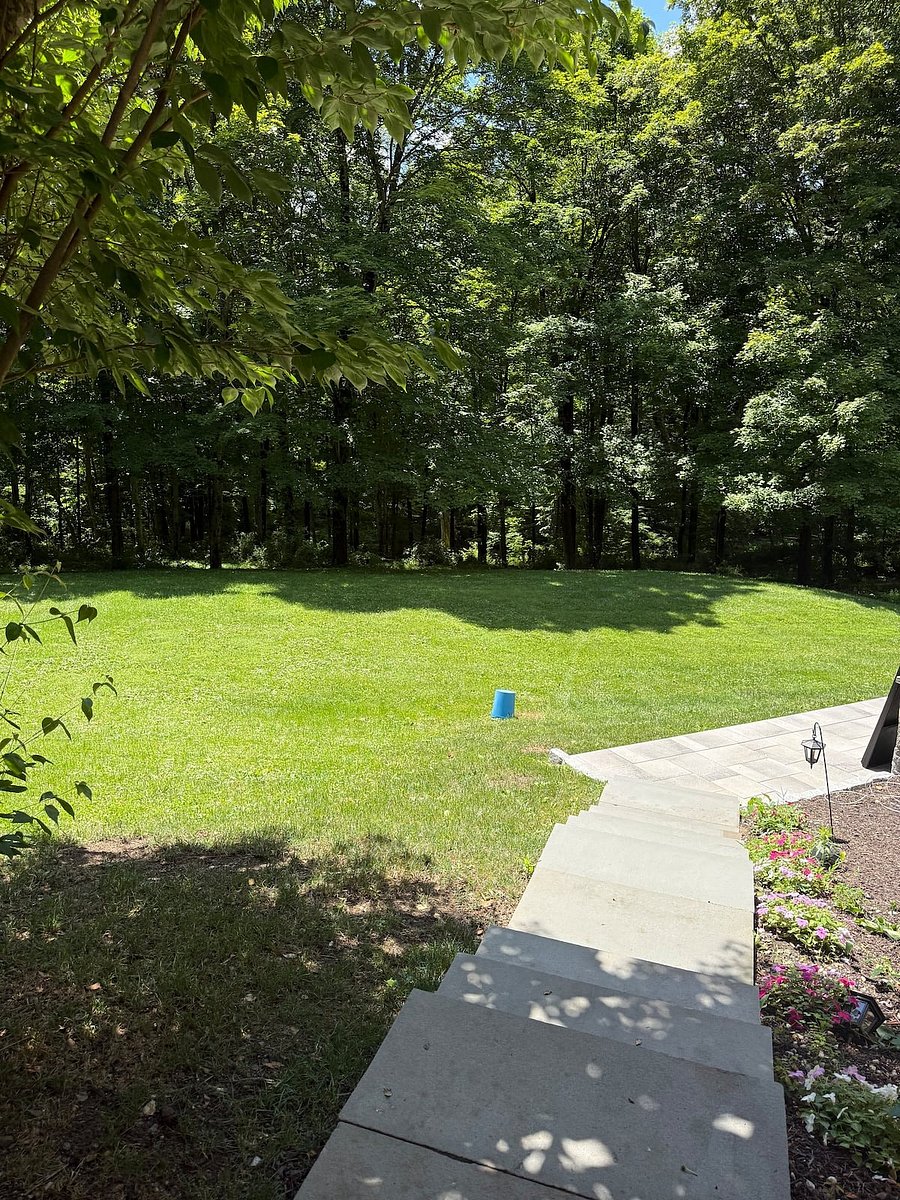 Furnished Finder property 881273_1 photo 27