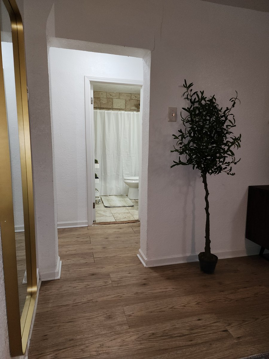 Furnished Finder property 881365_1 photo 13