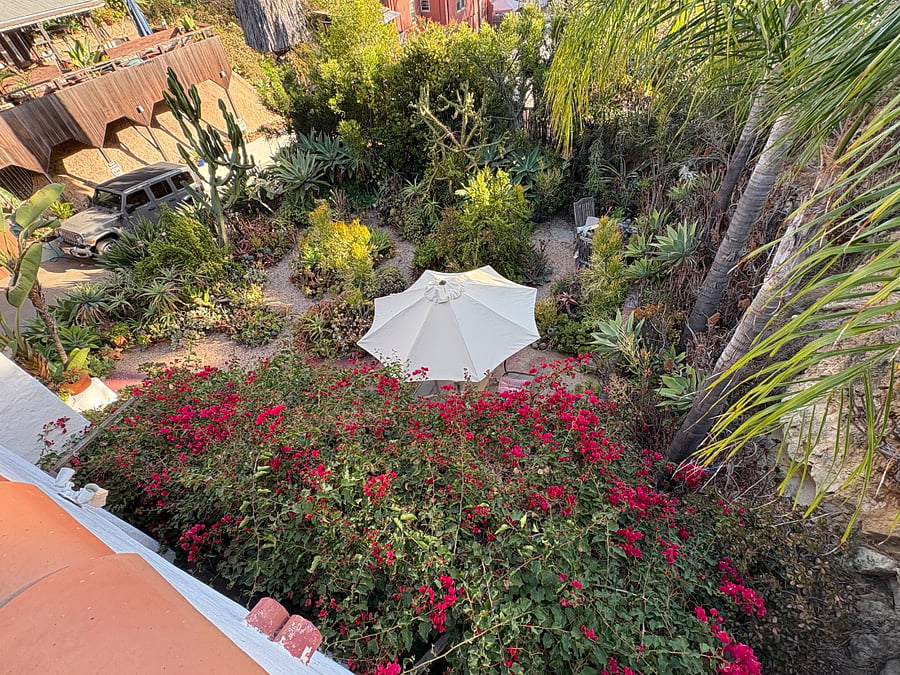 Front garden from deck