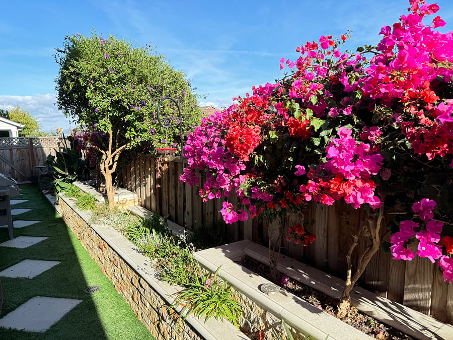 Furnished Finder property 881663_1 photo 8