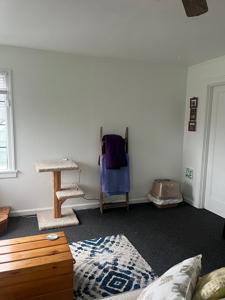 Furnished Finder property 881750_1 photo 4