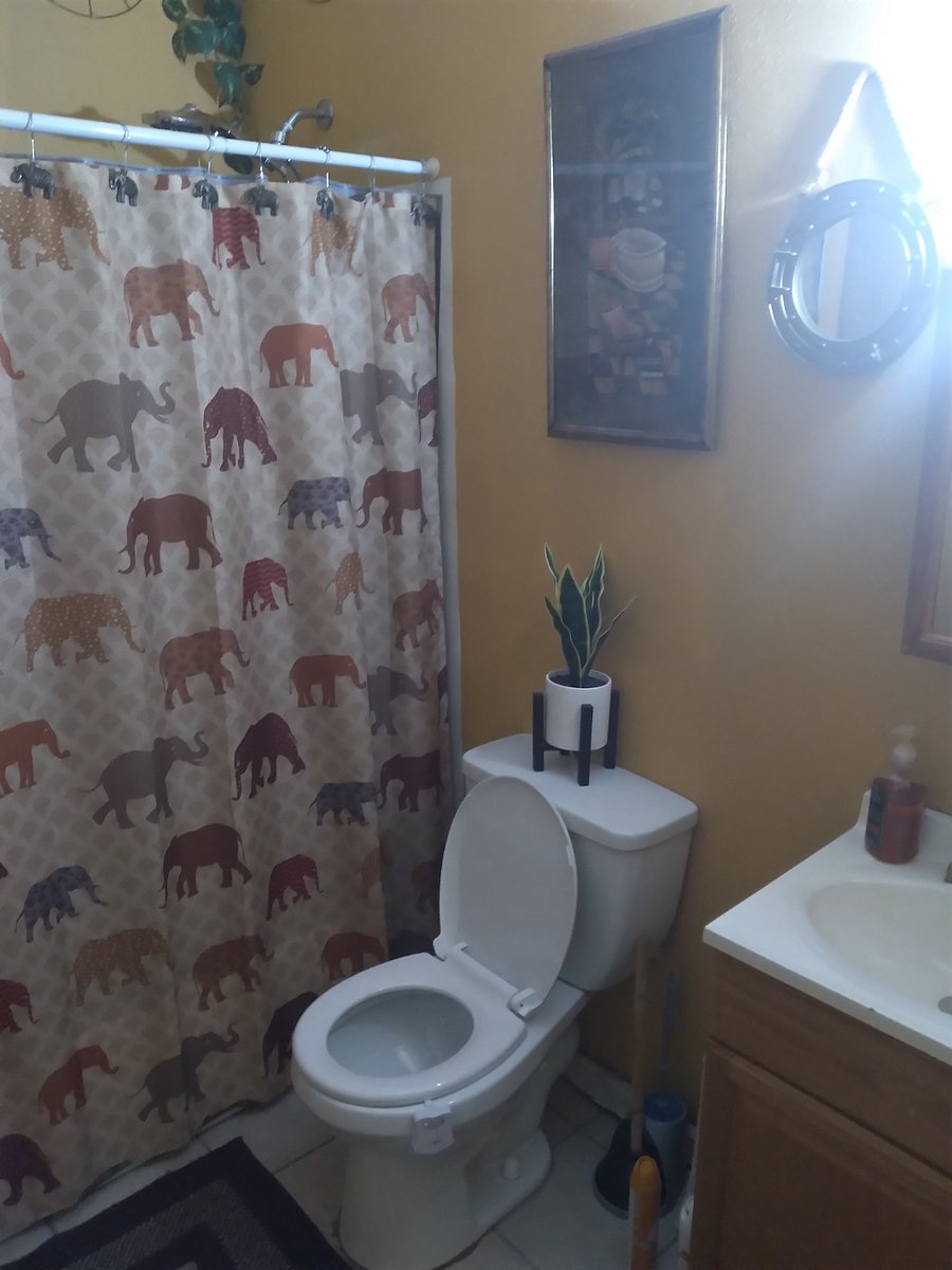 Furnished Finder property 881913_2 photo 4