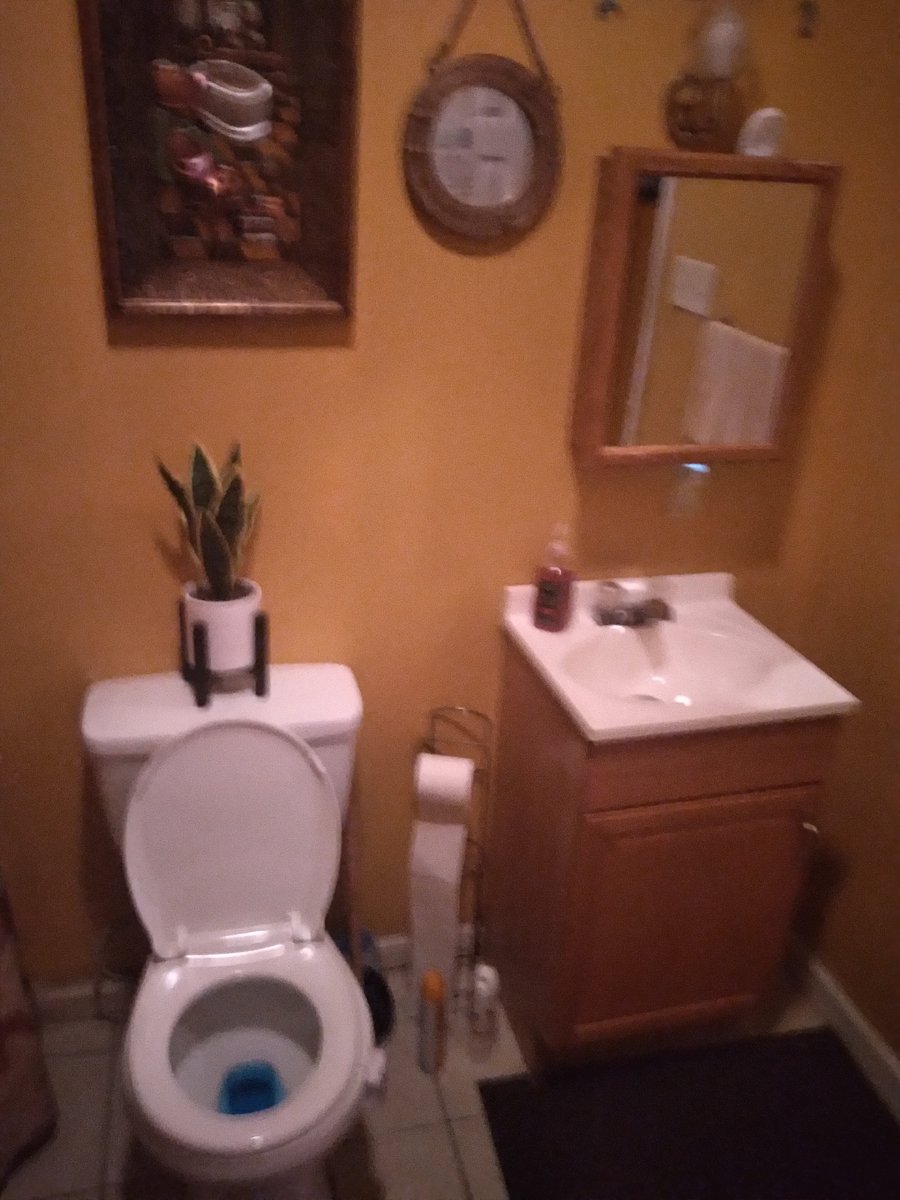 Furnished Finder property 881913_2 photo 5
