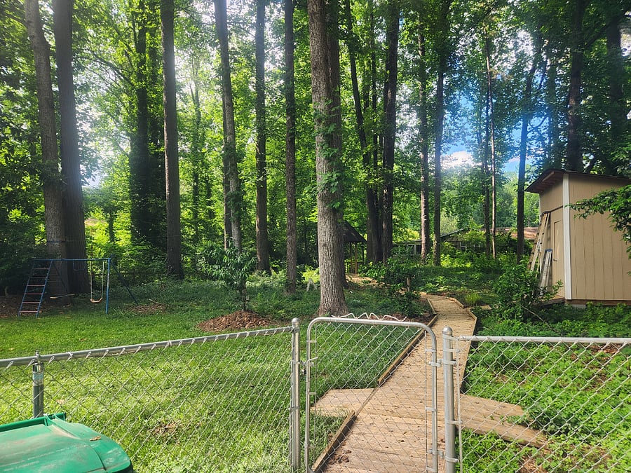 Back of House