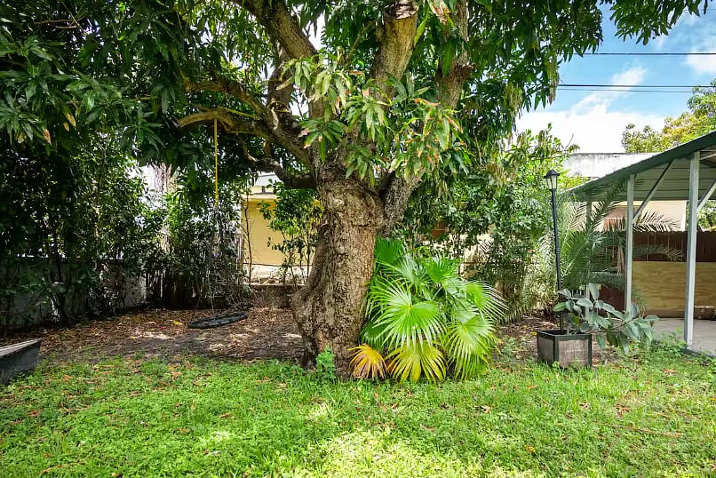 Furnished Finder property 882030_1 photo 15