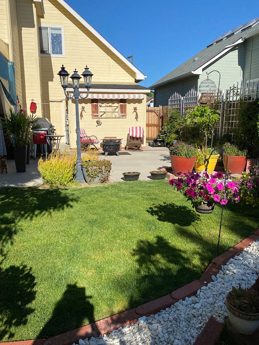 Furnished Finder property 882156_1 photo 4