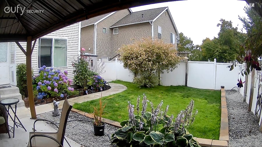 Furnished Finder property 882181_1 photo 4