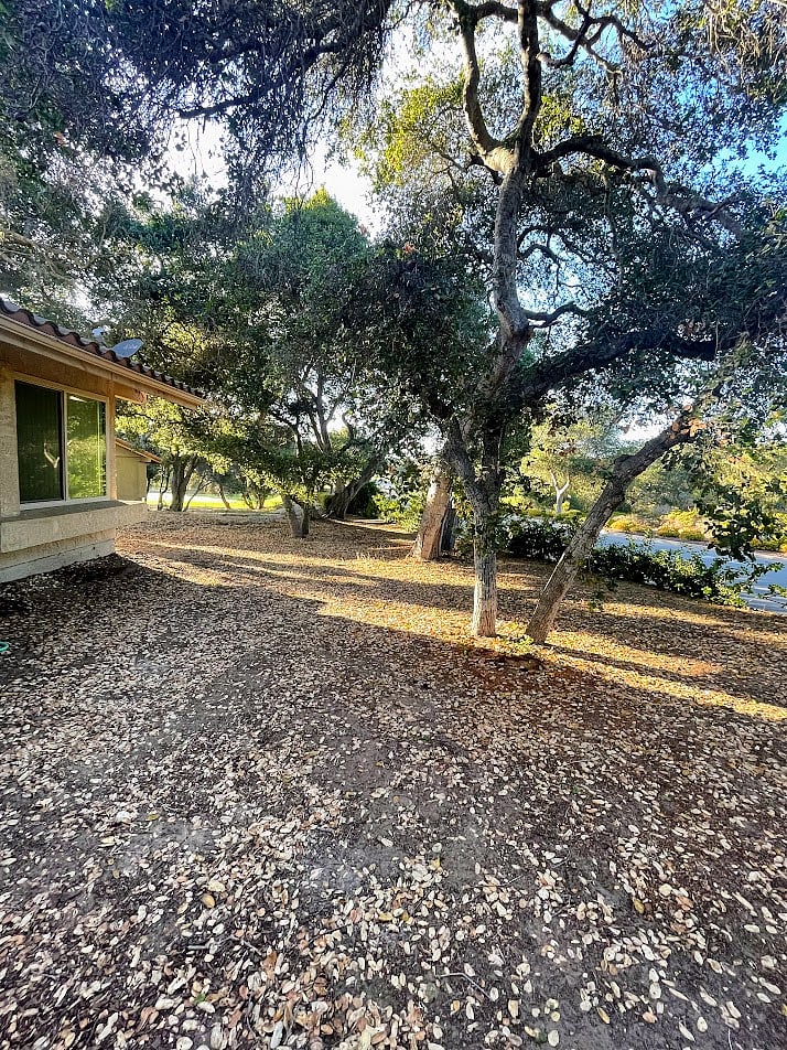 Furnished Finder property 882234_1 photo 13