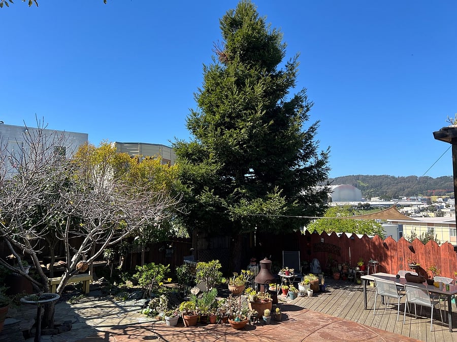 Furnished Finder property 882252_1 photo 10