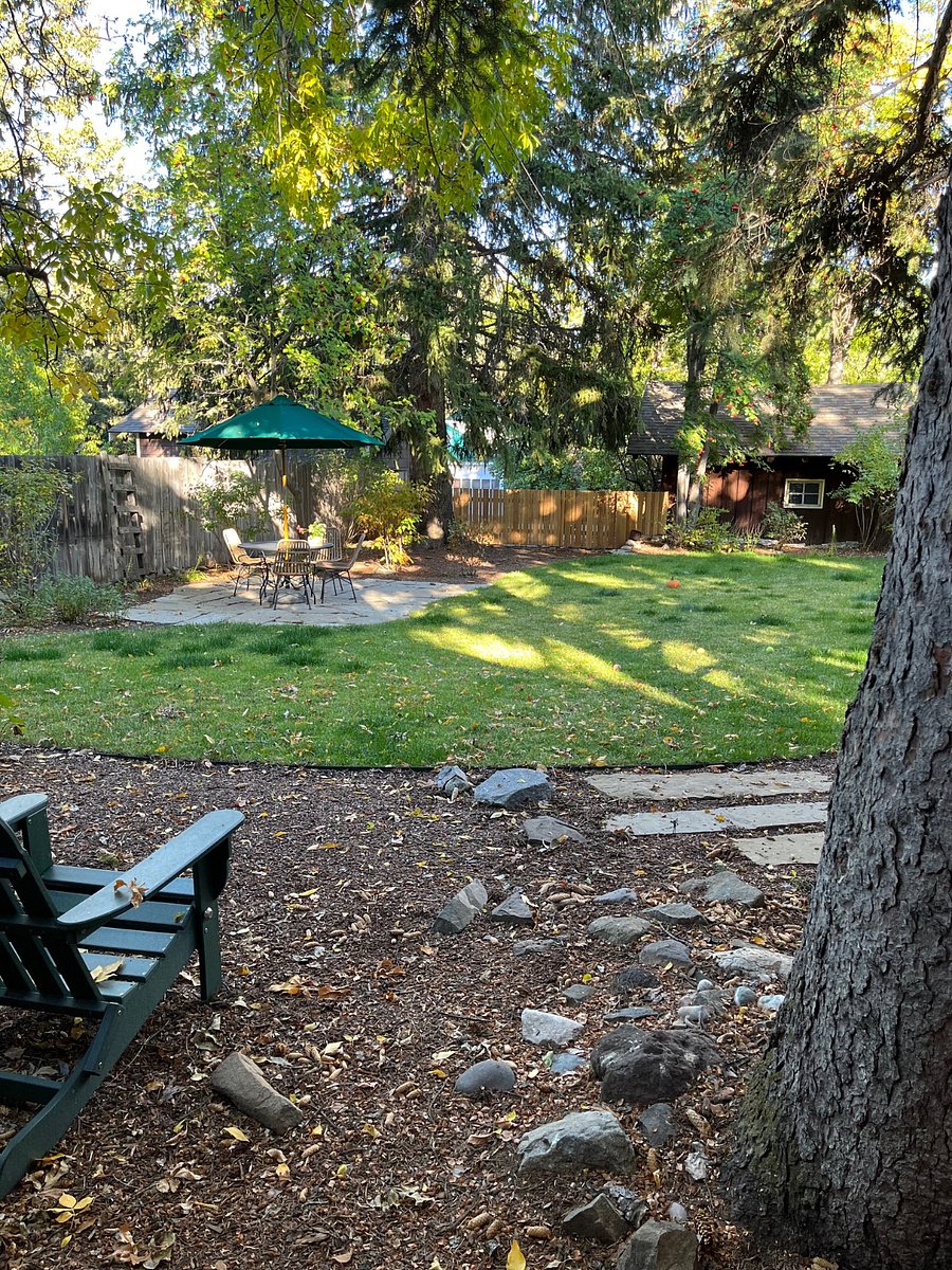 Fenced back yard