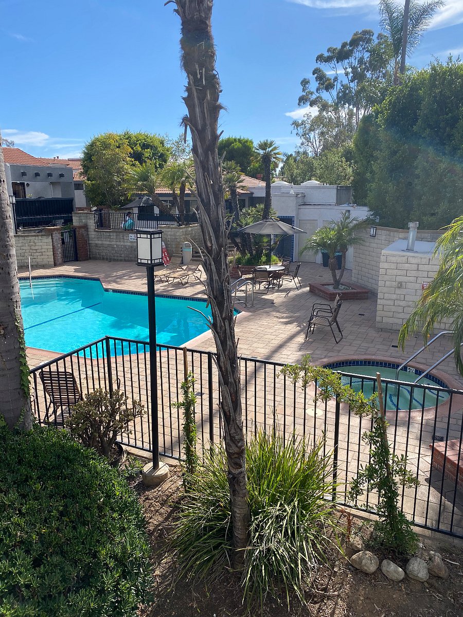 Furnished Finder property 882350_1 photo 9