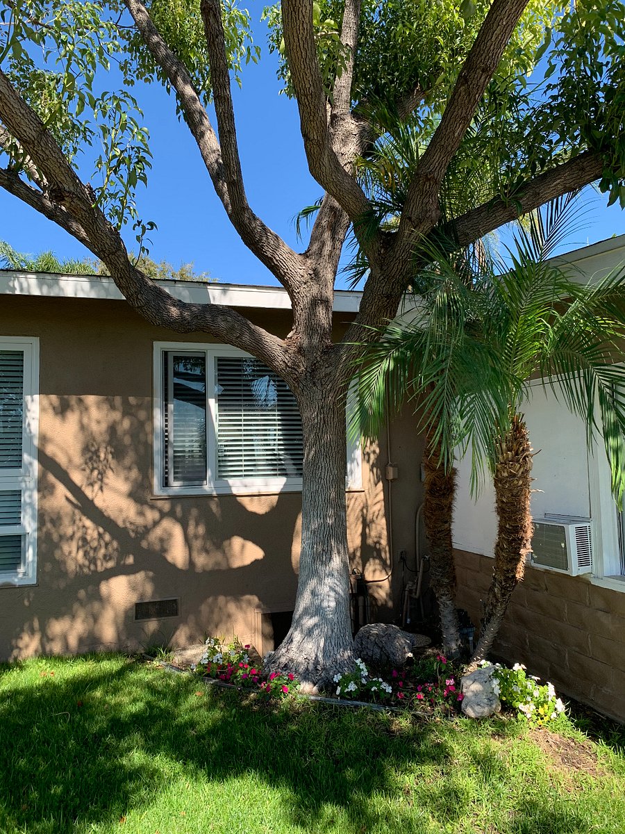 Furnished Finder property 882358_1 photo 34
