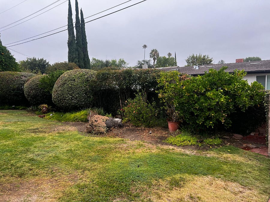Furnished Finder property 882508_1 photo 15