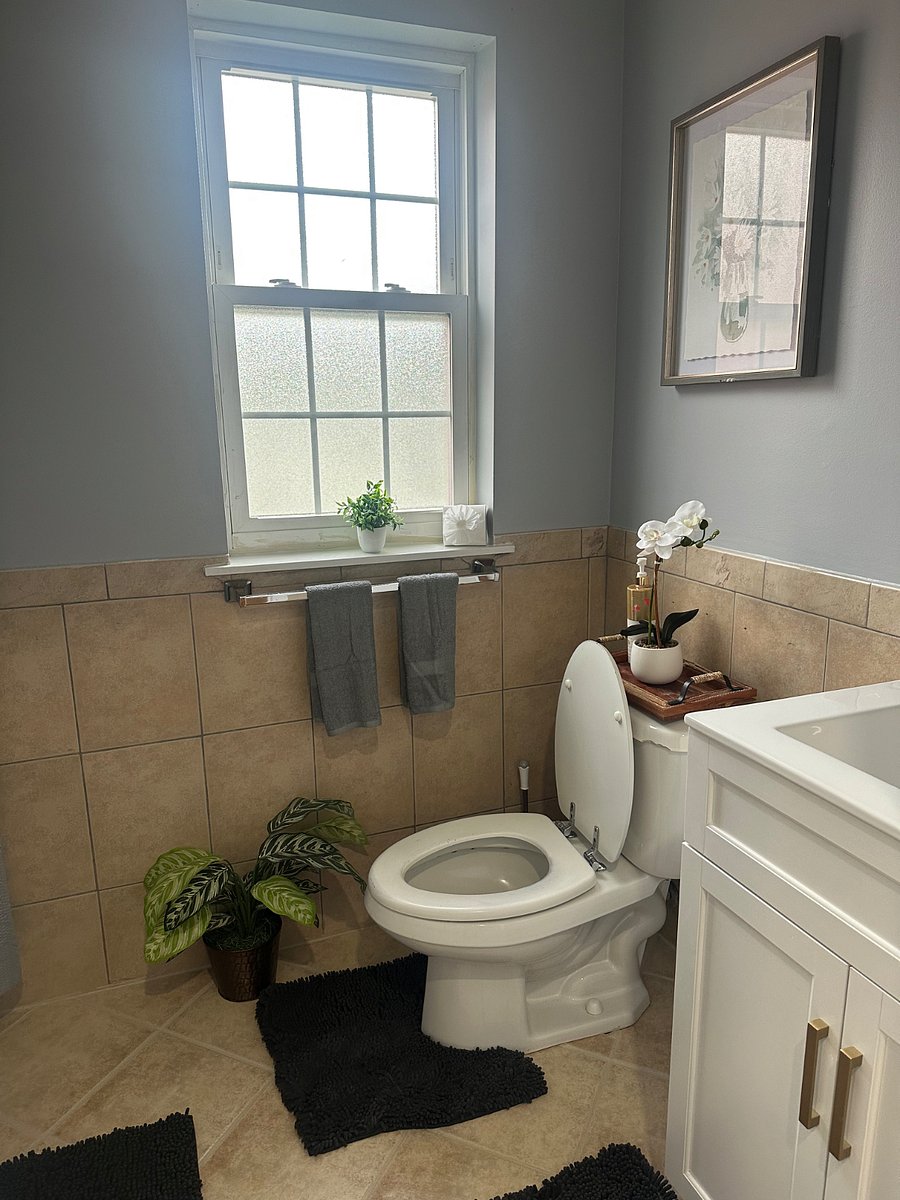 Furnished Finder property 882525_1 photo 24