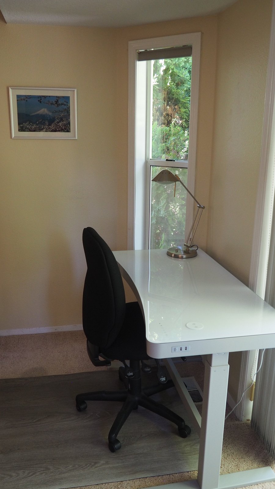Height adjustable desk with nature views.