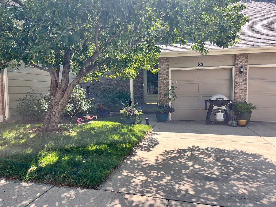 Front Door & Driveway
