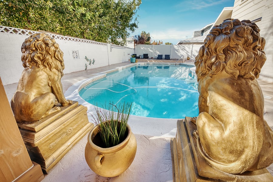 Lions protecting the backyard pool area! 