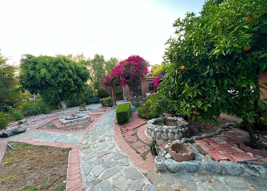 Furnished Finder property 882784_1 photo 9