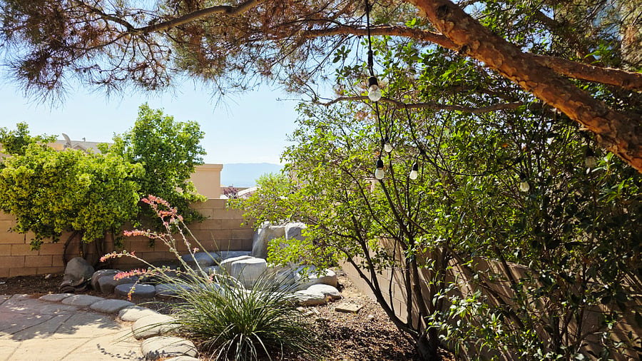 Nice east facing yard has shade for enjoyable evenings.