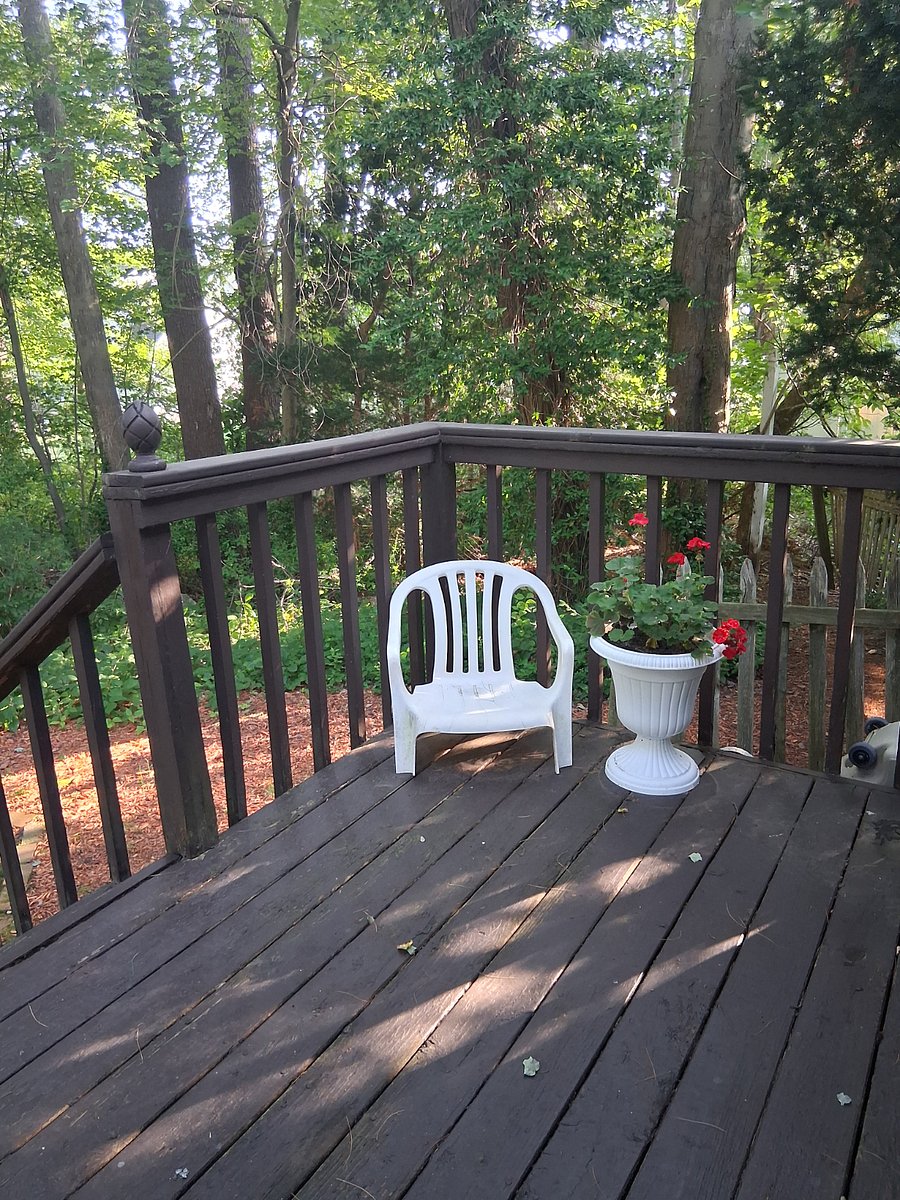 Furnished Finder property 882853_1 photo 20