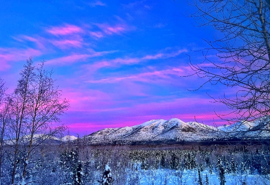Alpenglow in backyard