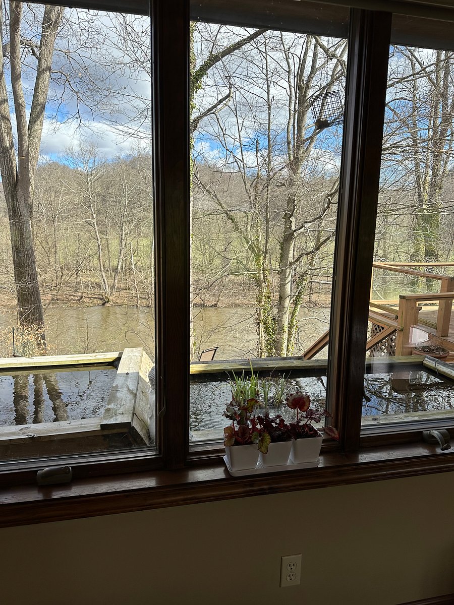 Furnished Finder property 882940_1 photo 14