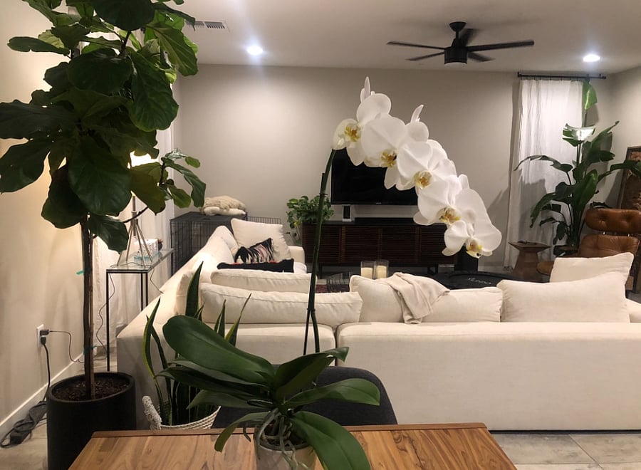 Furnished Finder property 882960_1 photo 8