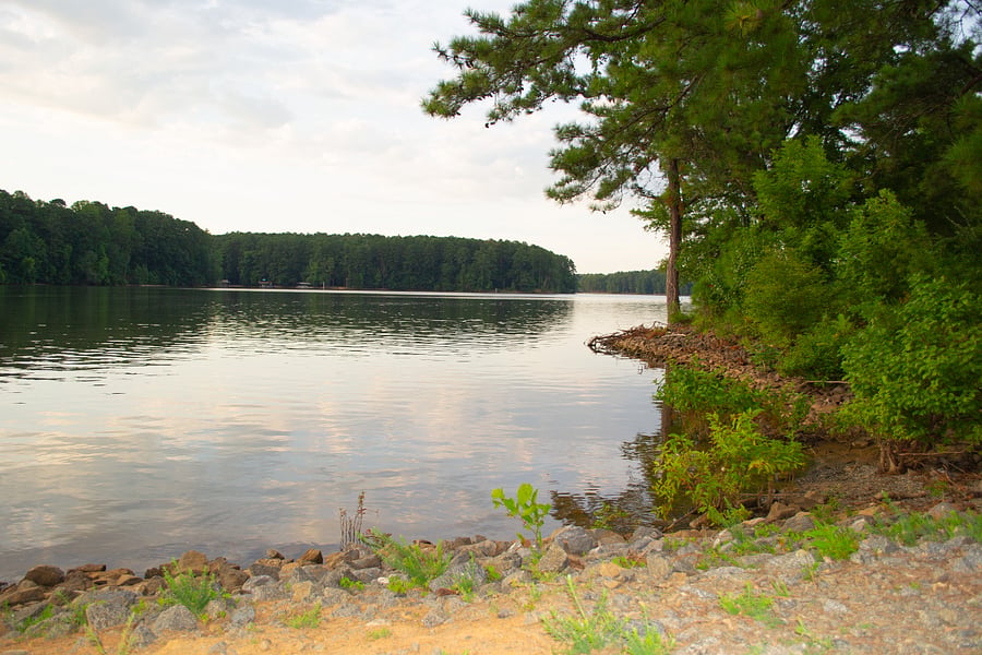 Proctor Landing park