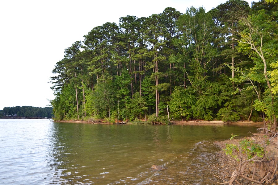 Proctor Landing park