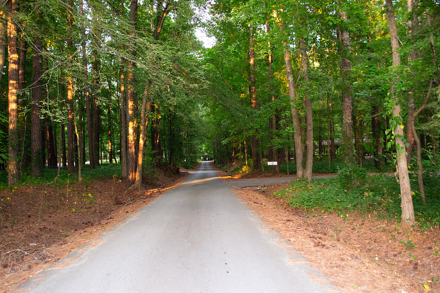 Proctor Landing park