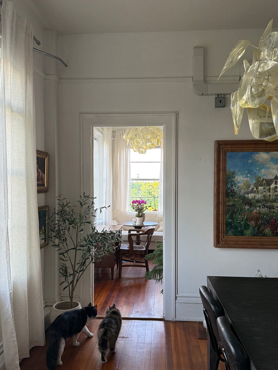 Furnished Finder property 883070_1 photo 10