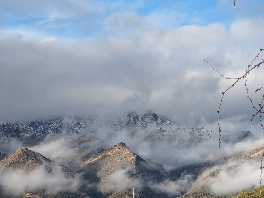 Snow on the Catalinas