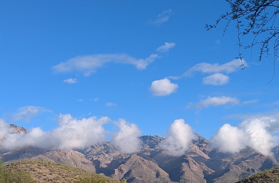 Catalinas after a stormy day
