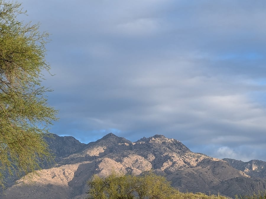 View from the front porch