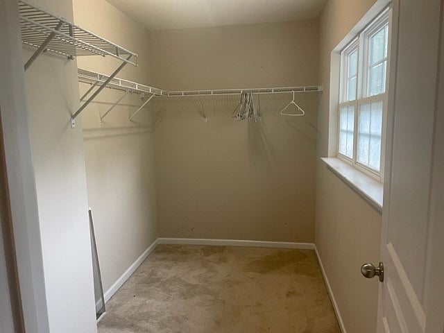 Furnished Finder property 883096_1 photo 11
